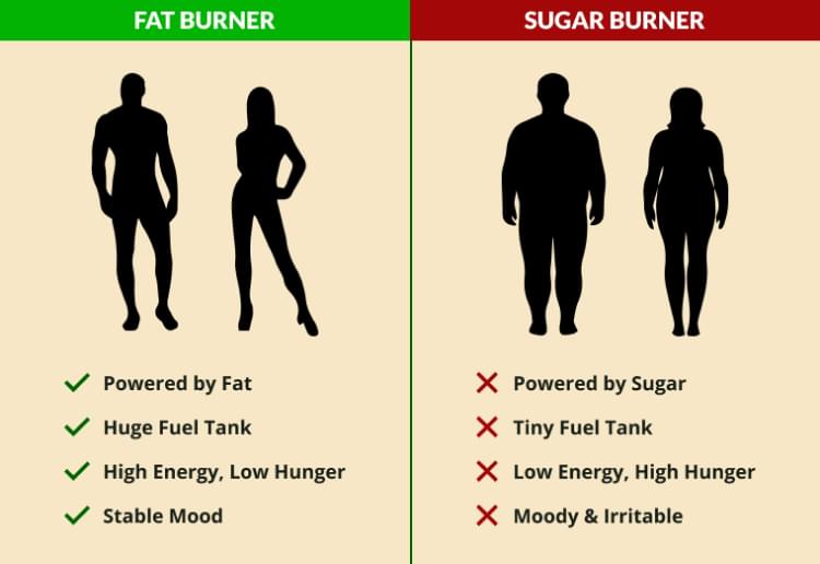 Fat Burner & Sugar Burner.